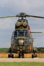 AS-532UL Cougar