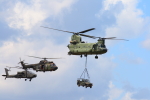 Chinook, Cougar and Apache
