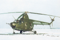 Mi-1__Hare